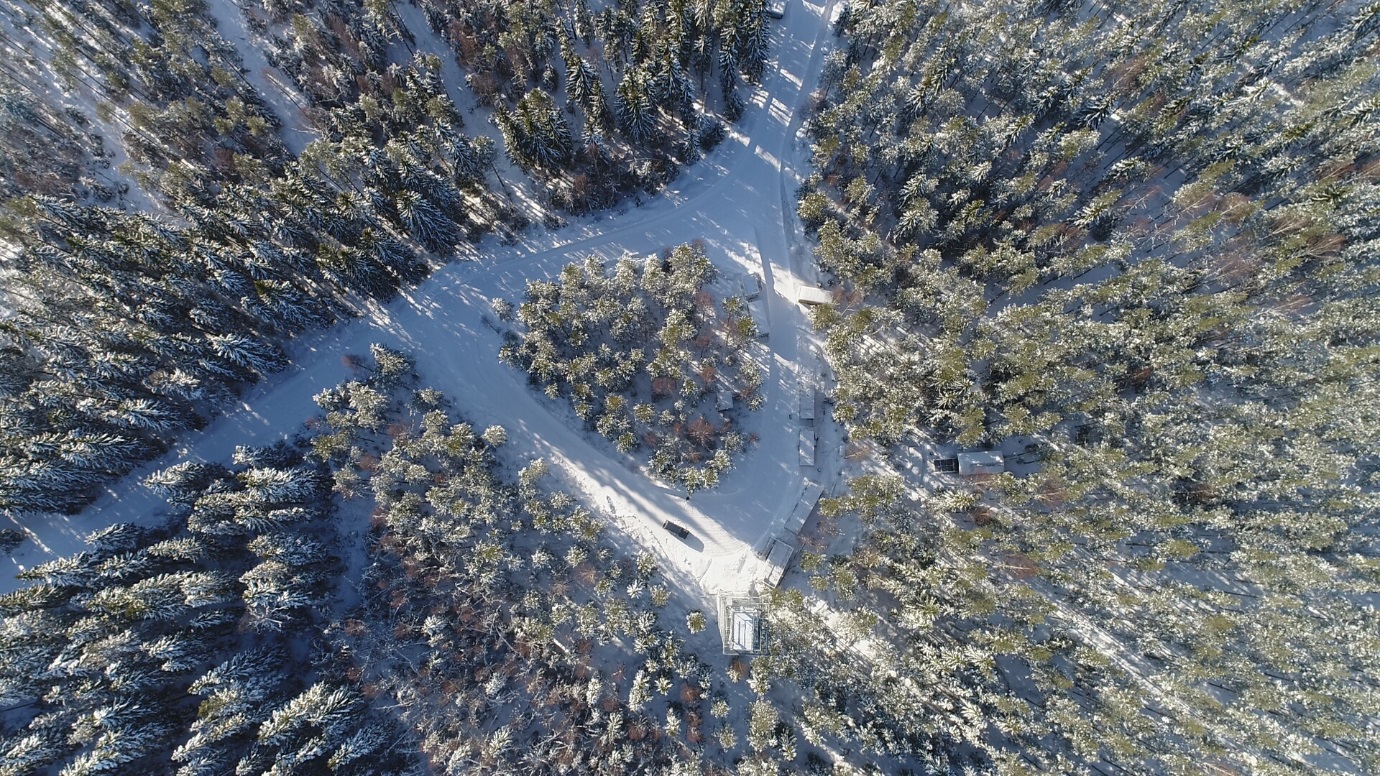 Hyytiälä (Finland)