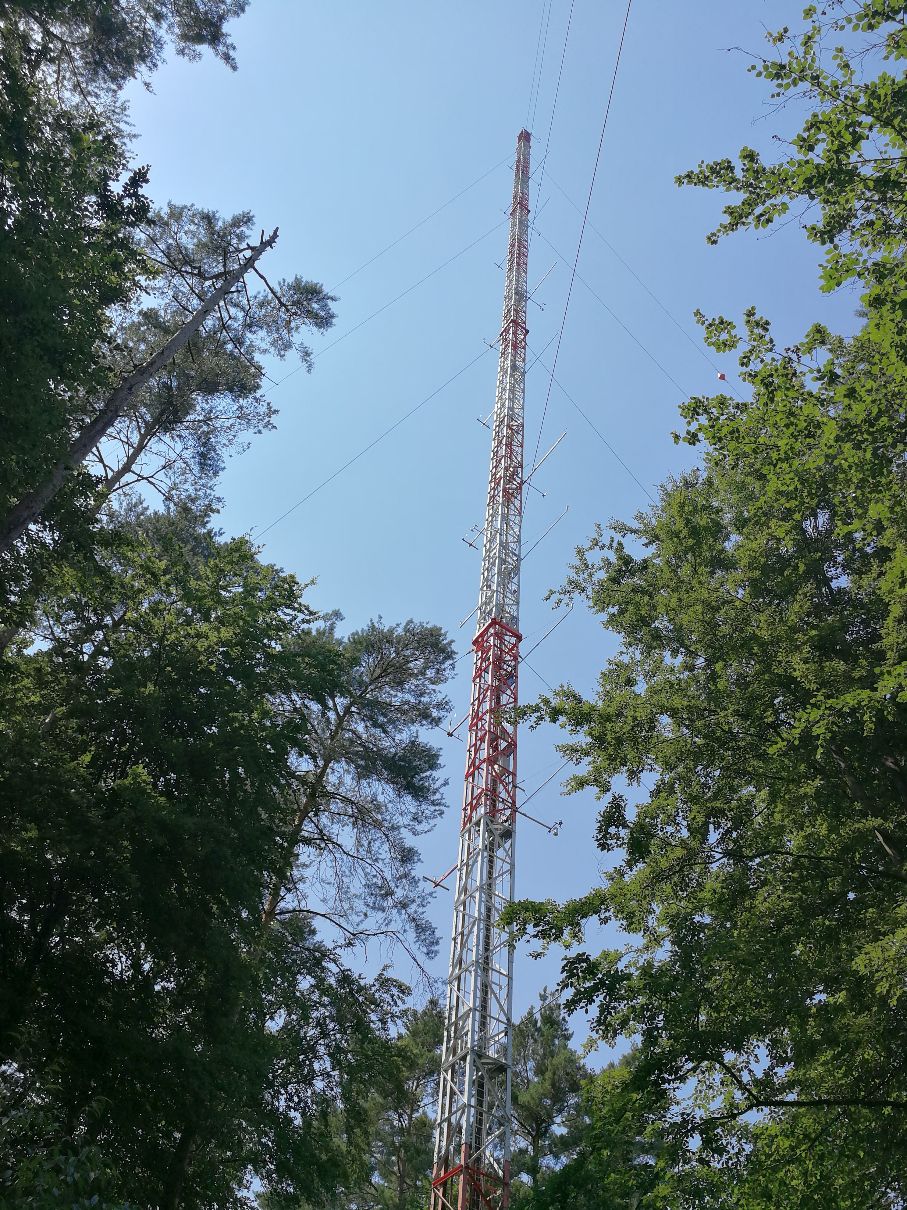 KIT forest (Germany)