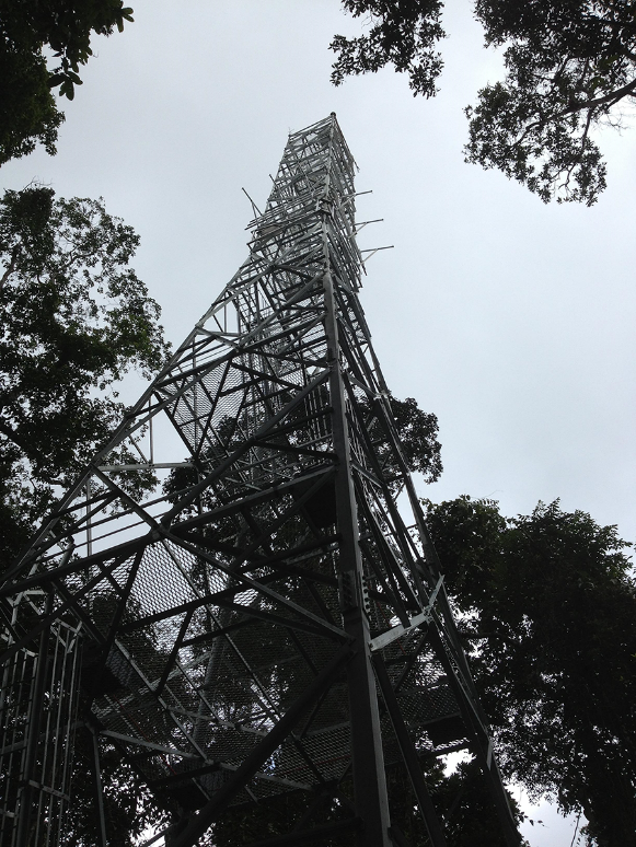 Robson Creek (Australia)
